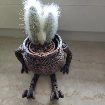 Avatar-Foto